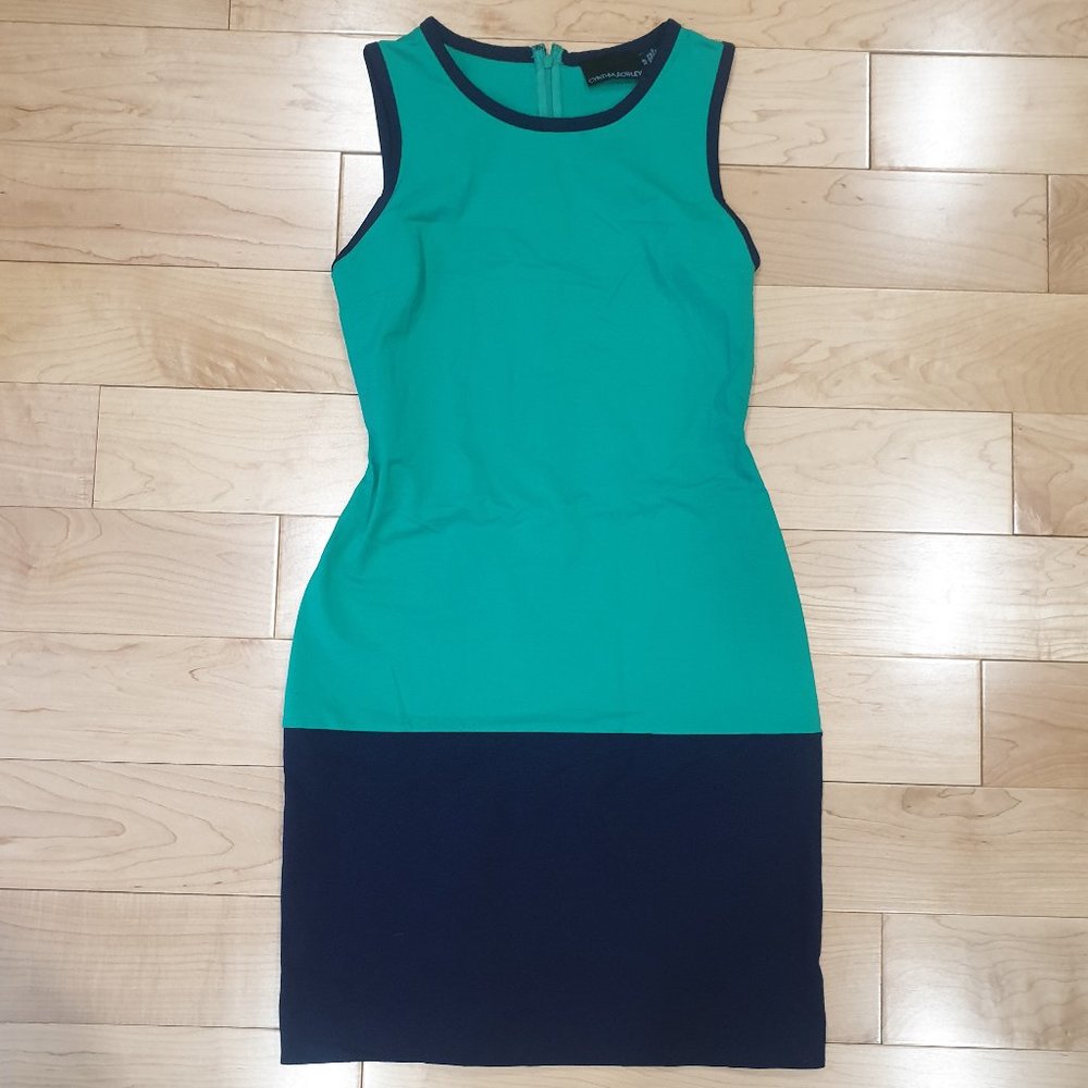 Cynthia Powley Dress